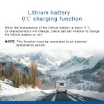 12V DC Car Battery Charger