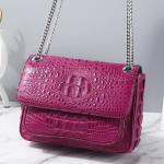 Exotic Genuine Crocodile Skin Silver Chain Lady Purse Real True Alligator