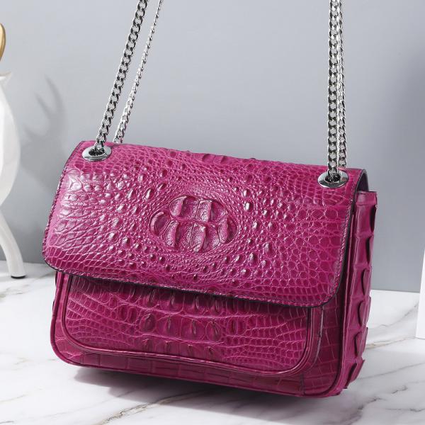 Exotic Genuine Crocodile Skin Silver Chain Lady Purse Real True Alligator