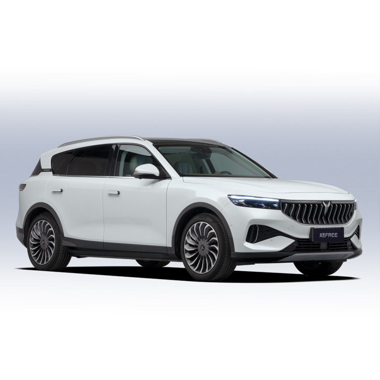 2023 Luxury Energy Pure Electric Car 4Wd Long Range Nedc 505Km Voyah Free 0km Length Width Height mm 4905*1950*1645