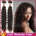 Hot Sale Malaysian Virgin Human Hair Extensions , Deep Curly Hair