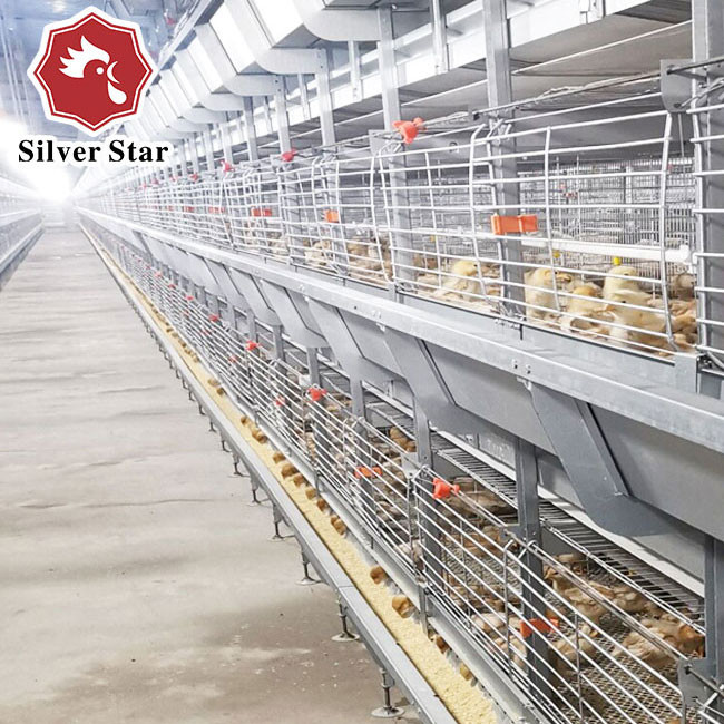 85*62.5*50Cm Size Broiler Chicken Cage H Type Multi Layer