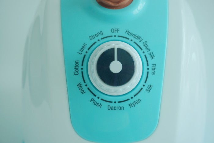 Steam Iron Brush Type Portable Travel Garment Steamer With Lake Blue Color