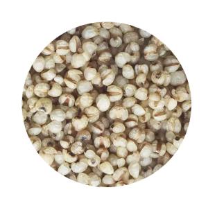 Wholesale 100% Pure Natural Steamed Job'S Tear Roasted For Drink from china suppliers