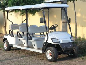 Wholesale Electric Steel Lithium Golf Cart Buggy 30 Mph 3.5KW 60V White Custom from china suppliers