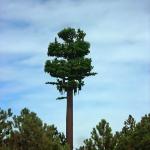 Camouflaged Pole Palm / Pine Micro Fake Cell Tower Trees 10 20 30 40 50 60 70 80