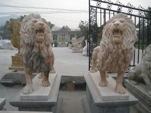 Wholesale BSCI Life Size Driveway Marble Statue Of A Lion from china suppliers