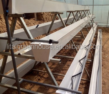 PP Hydroponic Tomato Growing Dutch Bucket System for Vegetables