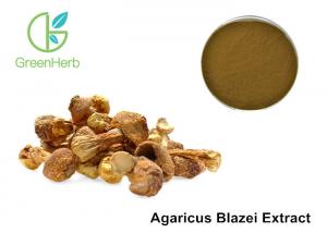 Wholesale Agaricus Blazei Extract Promoting Hematopoiesis ,  Medicinal Mushroom Powder from china suppliers