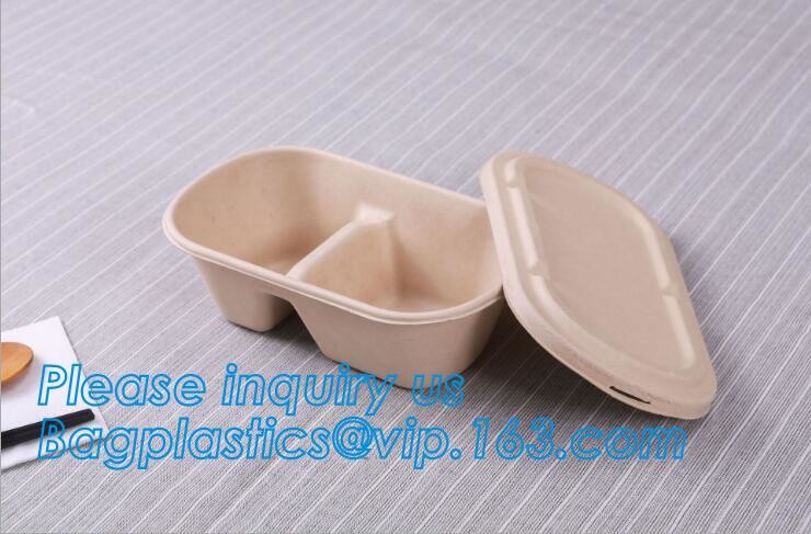 Premium Meal Prep Containers 3 Compartment BPA-FREE Food storage Microwavable Dishwasher Safe plastic Lunch bento box