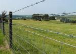 Industrial Security Hot Dipped Steel Barbed Wire Heavy Duty Great Protection