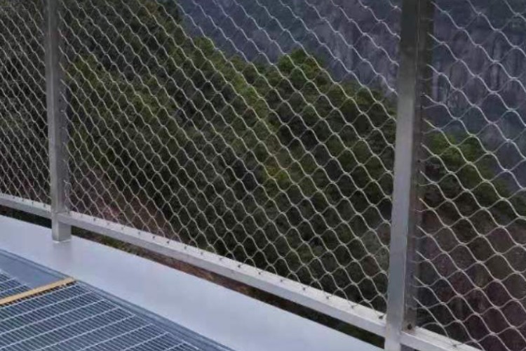 50cm*50cm Rope Net Fence 2.0mm Stainless Steel Wire Rope Mesh