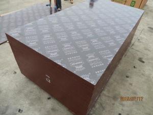 Wholesale China market wholesale phenolic board film faced plywood best selling products in philippines from china suppliers