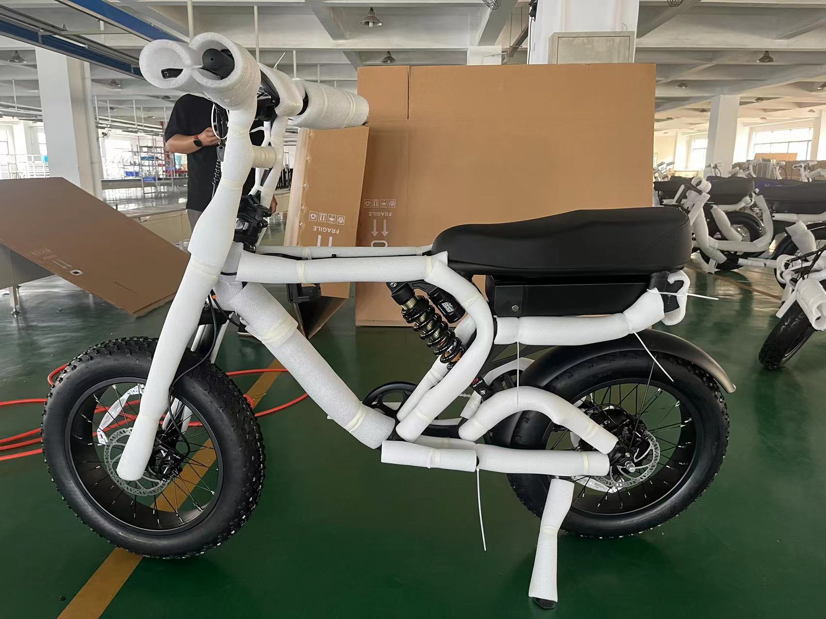 48V 13Ah Electric Dirt Bike Adult 750W 1000W High Speed Bicycle with 20inch Fat Tire