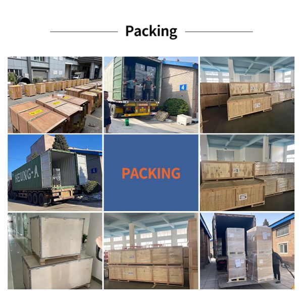 DTG Duplex Station Direct to Garment Printer Printing Width (380X430mm) X2 DTG Printer
