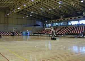 Wholesale Wall Attached Retractable Theater Seating , Telescopic Seating Systems For Play Areas from china suppliers