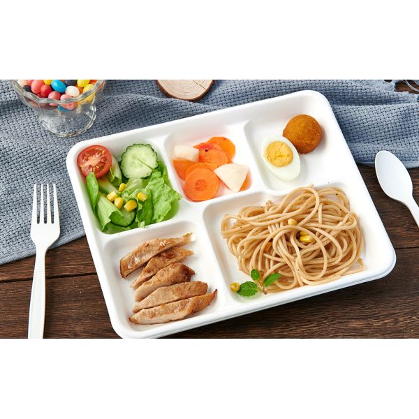 5 Compartment Plates, 125 Pack Disposable Paper Plates, Biodegradable Sugarcane Plates, Eco-Friendly School