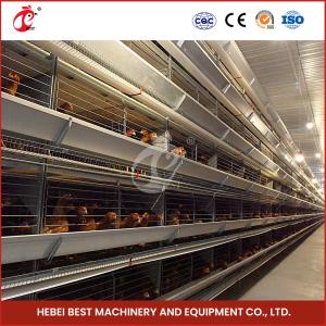 Wholesale Computer Controlled Raising Automatic Chicken Cage Equipment Star from china suppliers