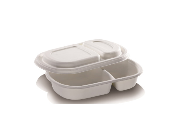 Biodegradable Takeaway Food Container Pulp Molded Equipment