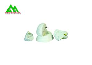 Wholesale Natural Looking Human Anatomical Brain Model For Medical Students from china suppliers