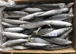 Wholesale Sea Decaptromateus Macrosoma 60g 65g Frozen Fishing Bait from china suppliers