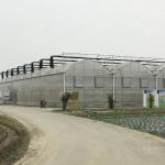 Automatic System Multi-Span Greenhouse PC Polycarbonate Film Greenhouse Steel