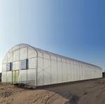 Commercial Metal Frame Agriculture Plastic Film Greenhouse With Hydroponic