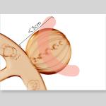 Eco Friendly Antibacterial Non Dropping Watch Wristband Teether
