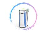 fat freezing cryolipolysis slimming machine Weight Loss Cryolipolysis Slimming