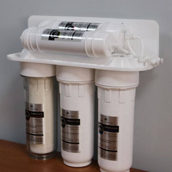 Household Drink Water Purifier Straight Fast Pass Filter 250L/H