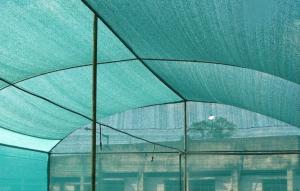 Wholesale Dark Green Greenhouse Shade Netting from china suppliers