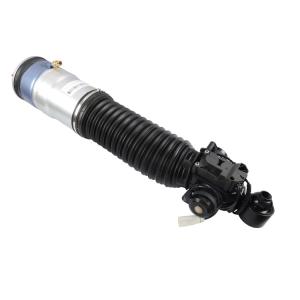 Wholesale Auto Parts BMW F02 F01 Rear 2008-2015 Air Suspension Shock Right 37126791675 37126791676 Air Absorber Air Strut from china suppliers