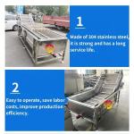1000kg/h Capacity Bubble Washing Machine for Industrial Cleaning of Fruit