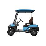 Affordable 2 Seat Electric Golf Buggy Perfect for Family and Hunting on the