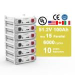 UL Certification LiFePO4 Energy Storage Battery 51.2V 100Ah Stacked Rack