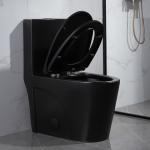 1.6 Gpf Matt Black Dual Flush Elongated One Piece Toilet American Standard