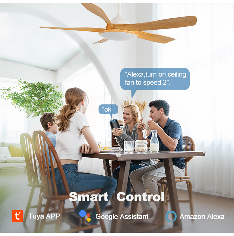 Modern Design 5 ABS Blades LED Ceiling Fan with Silent Motor and ROHS Certification