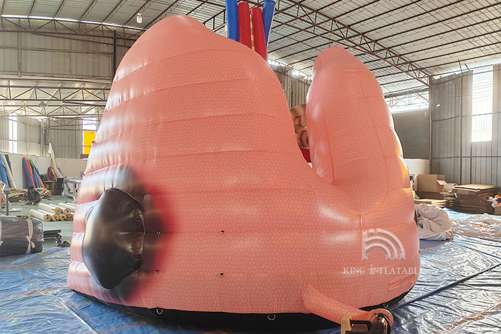 Custom Giant Inflatable Lungs Medical Event Theme Advertising Human Organ Large Colon Tube Model