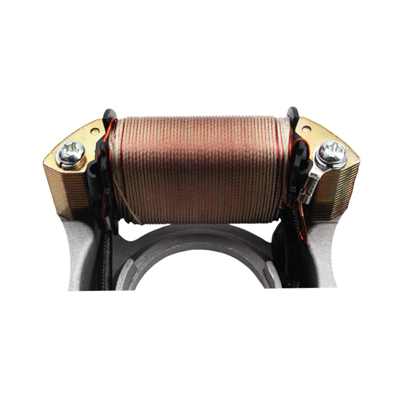 YAYE Magneto generator stator coil DY100 for Motorcycle off-road Aluminum alloy and copper wire Generator ignition coil
