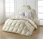 Home TextilesHealthy Feather and Down Duvet Covers