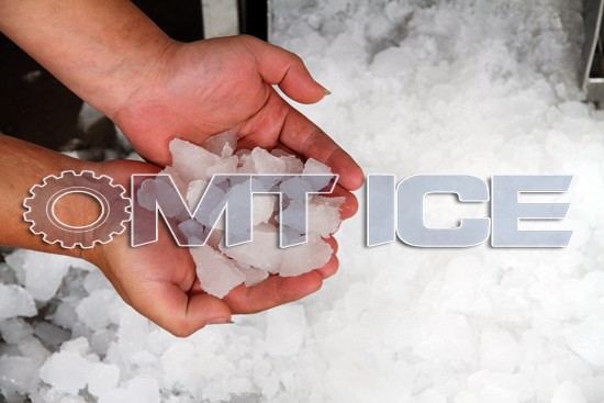 Adjustable Speed Electric Ice Crusher Machine High Capacity With Container