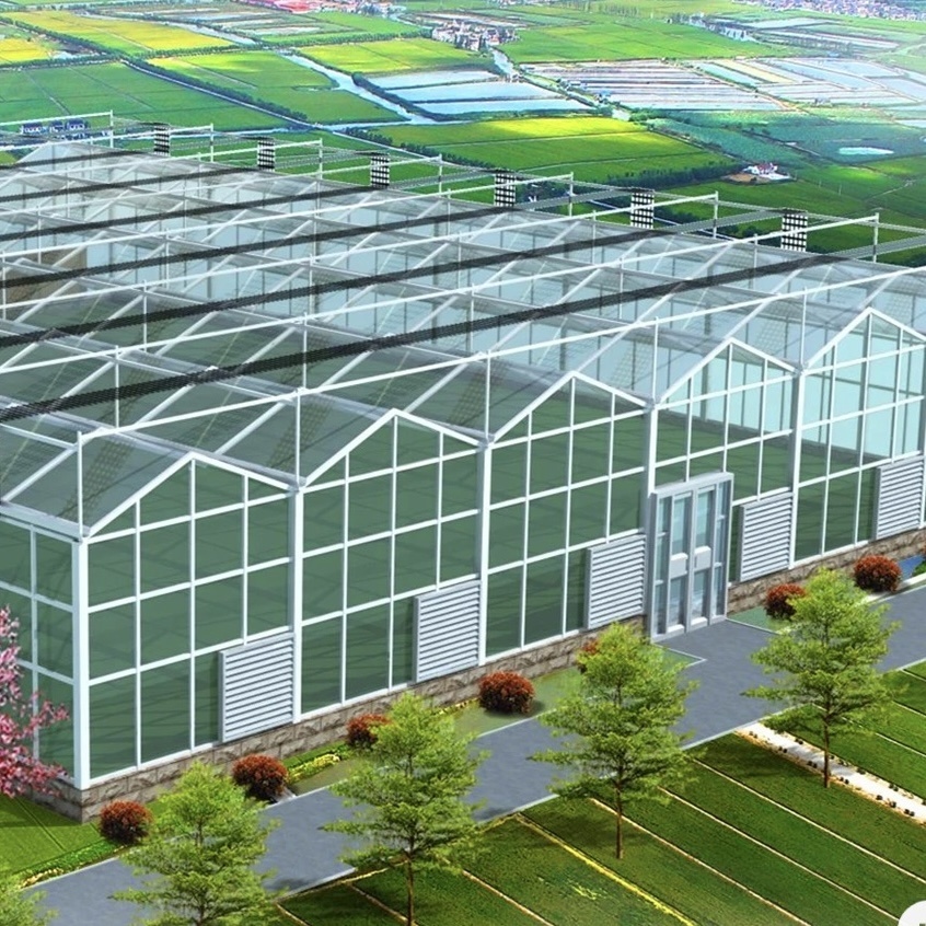 Multi-Functional Glass Greenhouse for Vegetable Growth