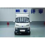 Electric Cargo Delivery Truck for Adults 2 Seats 0.5 Hour 3030*1620*1630 250km