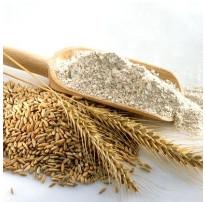 Wholesale GG Flour Mesh - PET-GG Series Flour Mesh from china suppliers