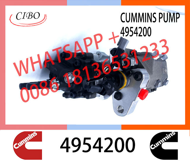 6745-71-1170 6745-71-1010 3973228 2872191 4954200 2872930 PC300-8 Engine SAA6d114 Qsc Excavator Fuel Pump