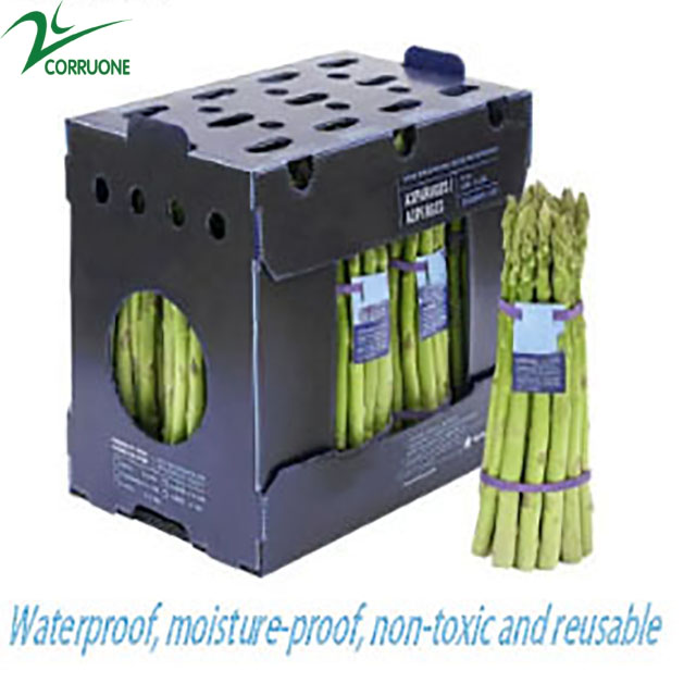Sealed 1200x1000 Chloroplast Sheets Coroplast Fluted Polypropylene Sheet