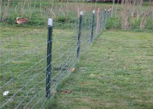 Wholesale Theftproof 6ft Q235 Steel Studded T Post For Fencing from china suppliers