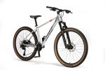 Forge Alloy Mountain Bike With Hydraulic Disc Brake SHIMANO Freewheel