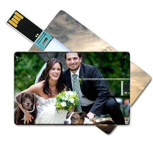 Plastic Customized Promotional Gifts 4GB Business Credit Card USB Flash Drive