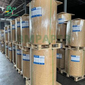 Wholesale 120gsm Thermal Coating Synthetic Paper For Medical Wristband 20cm x 500m from china suppliers
